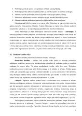 Teoriniai kredito aspektai ir kredito sistema Lietuvoje 8 puslapis