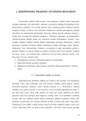 Krepšininkų pradinio techninio rengimo pagrindai 13 puslapis