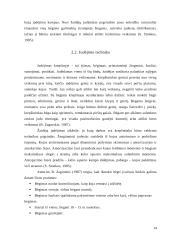 Krepšininkų pradinio techninio rengimo pagrindai 14 puslapis