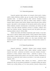 Krepšininkų pradinio techninio rengimo pagrindai 18 puslapis