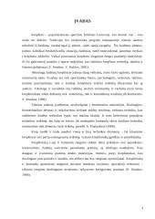 Krepšininkų pradinio techninio rengimo pagrindai 3 puslapis