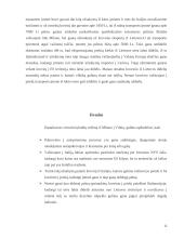 Krovinio gabenimas maršrutu Vilnius - Milanas 11 puslapis