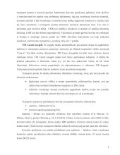 Krovinio gabenimas maršrutu Vilnius - Milanas 5 puslapis