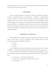 Krovinio gabenimas maršrutu Vilnius - Milanas 9 puslapis