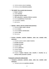 Krovinio vežimo automobilių transportu organizavimas 18 puslapis