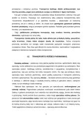 Krovinio vežimo automobilių transportu organizavimas 3 puslapis
