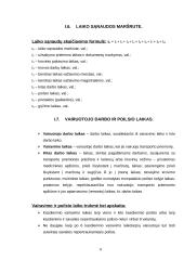 Krovinio vežimo automobilių transportu organizavimas 8 puslapis