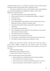 Krovinių gabenimo vandens transportu būklės Lietuvoje vertinimas 20 puslapis