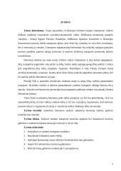 Krovinių gabenimo vandens transportu būklės Lietuvoje vertinimas 3 puslapis