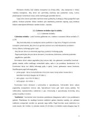 Krovinių gabenimo vandens transportu būklės Lietuvoje vertinimas 5 puslapis