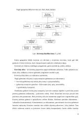 Krovinių gabenimo vandens transportu būklės Lietuvoje vertinimas 8 puslapis