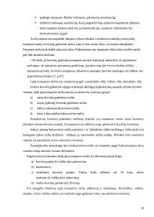 Krovinių gabenimo vandens transportu būklės Lietuvoje vertinimas 10 puslapis