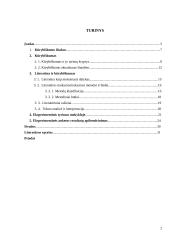 Kūrybiškumo ugdymo pamokų galimybės aukštesniojo koncentro klasėse 1 puslapis
