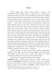 Kūrybiškumo ugdymo pamokų galimybės aukštesniojo koncentro klasėse 2 puslapis