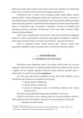 Kūrybiškumo ugdymo pamokų galimybės aukštesniojo koncentro klasėse 8 puslapis
