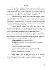 Laisvas paslaugų judėjimas 2 puslapis