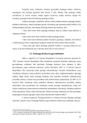 Laisvas paslaugų judėjimas 17 puslapis