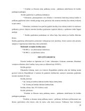 Lietuvos bankų ilgalaikių paskolų analizė: "Nord/LB" ir "Snoras" 20 puslapis