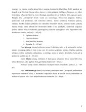 Lietuvos bankų ilgalaikių paskolų analizė: "Nord/LB" ir "Snoras" 8 puslapis