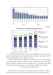 Lietuvos ekonomikos būklės analizė 12 puslapis