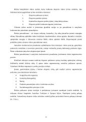 Lietuvos eksportas ir jo problemos 11 puslapis