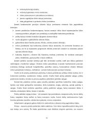 Lietuvos eksportas ir jo problemos 15 puslapis