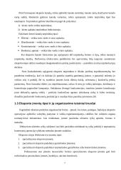 Lietuvos eksportas ir jo problemos 7 puslapis