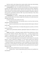 Lietuvos eksporto ir jo problemų analizė 11 puslapis