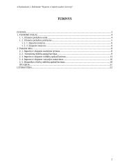 Lietuvos eksporto ir importo analizė 2 puslapis