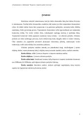 Lietuvos eksporto ir importo analizė 3 puslapis