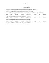 Lietuvos ir Baltarusijos santykiai 11 puslapis