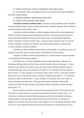 Lietuvos ir Vokietijos mokesčių sistemų palyginimas 11 puslapis