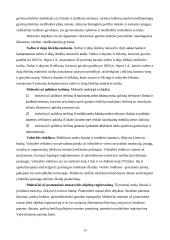 Lietuvos ir Vokietijos mokesčių sistemų palyginimas 15 puslapis