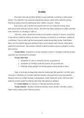 Lietuvos ir Vokietijos mokesčių sistemų palyginimas 3 puslapis