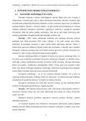 Lietuvos komercinių bankų internetinės reklamos ypatumai 4 puslapis