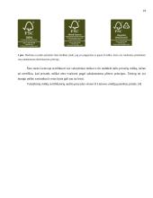 Lietuvos miškų ūkio subalansuotoji plėtra 17 puslapis