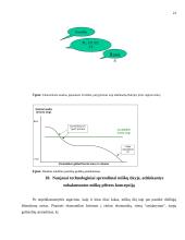 Lietuvos miškų ūkio subalansuotoji plėtra 19 puslapis