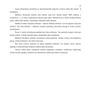 Lietuvos miškų ūkio subalansuotoji plėtra 20 puslapis