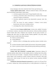 Lietuvos narystė Europos Sąjungoje (ES) 5 puslapis