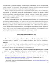 Lietuvos sienų problemos XX amžiaus pabaigoje 11 puslapis