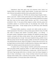Lietuvos valstybės išlaidų ir pajamų balansavimo problemos 19 puslapis