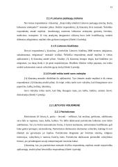 Lietuvos verslas ir visuomenė 13 puslapis