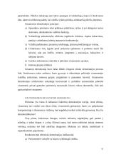 Lyginamoji demokratijos tipų analizė 11 puslapis