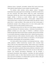 Lyginamoji demokratijos tipų analizė 16 puslapis