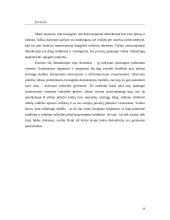 Lyginamoji demokratijos tipų analizė 19 puslapis