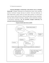 Lyginamoji demokratijos tipų analizė 6 puslapis
