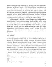 Lyginamoji kandidatų į Seimą rinkiminių argumentų analizė 11 puslapis