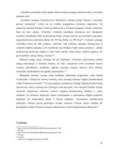 Lyginamoji kandidatų į Seimą rinkiminių argumentų analizė 17 puslapis