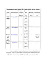 Lizingo procesas 13 puslapis