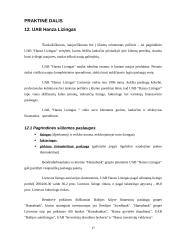 Lizingo procesas 15 puslapis